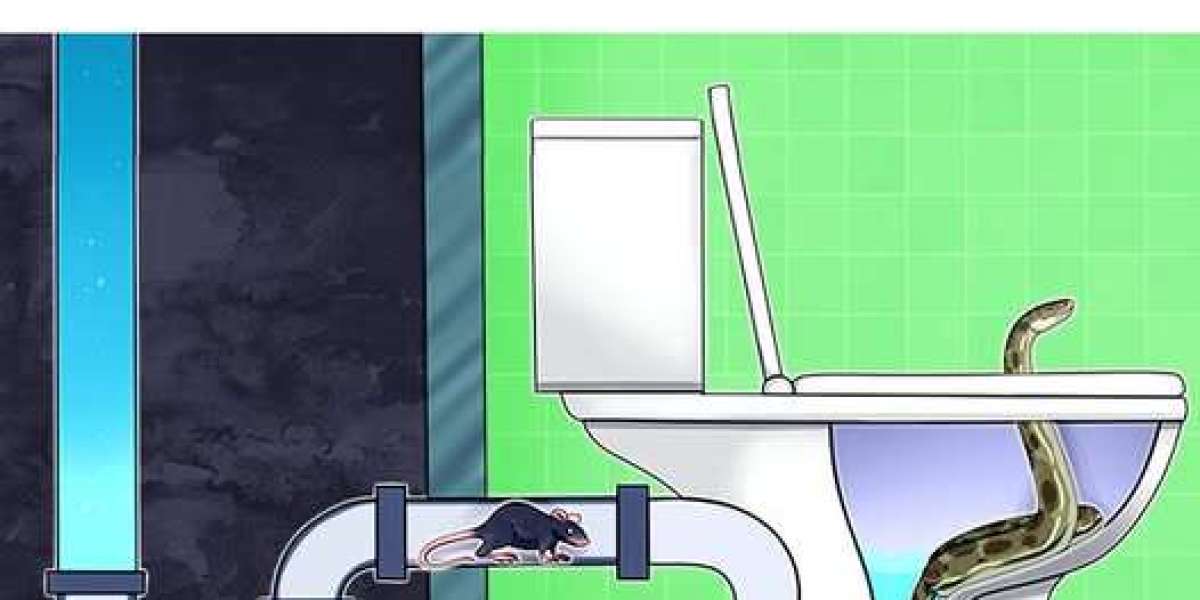 7 Creatures That Can Crawl Through Your Toilet and How to Prevent Them